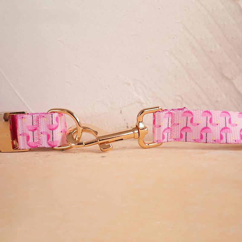 Hundehalsband- und Leinen-Set – Bild 5 | LuxeStyle