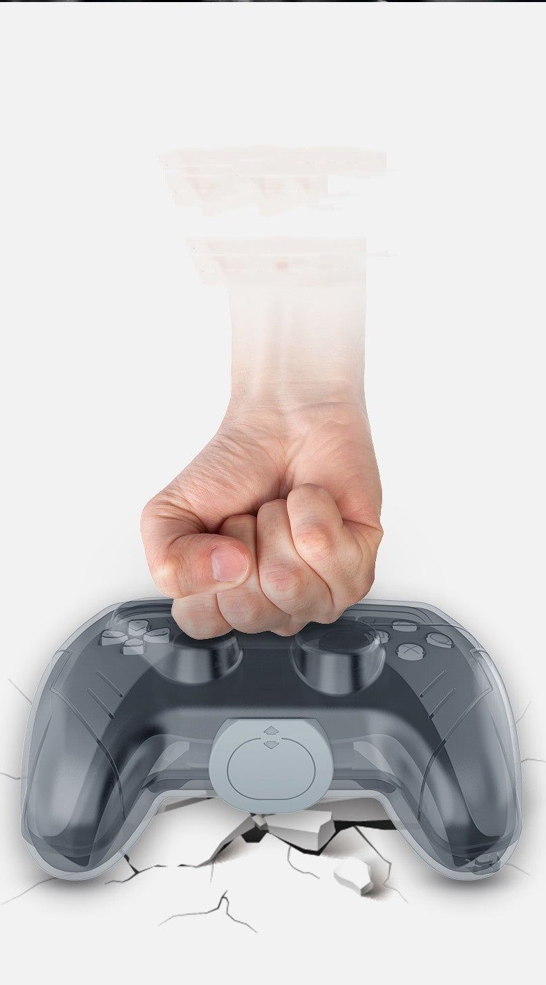 Spielcontroller Schutzbox