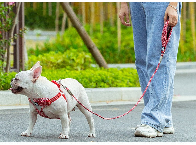 Hunde-Leine «Floral Round» – Bild 7 | LuxeStyle