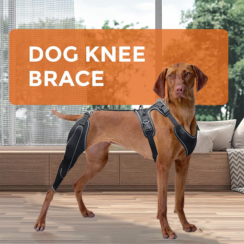 Beinwärmer für Hunde mit verstellbarer Metallstütze – Bild 1 | LuxeStyle