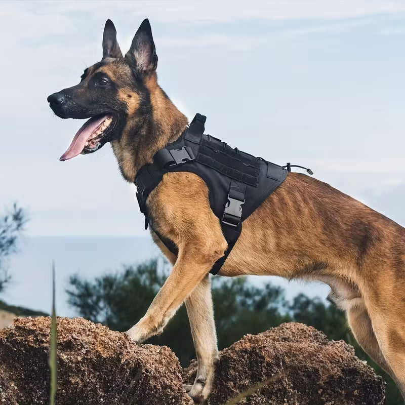 Taktisches Hundegeschirr für grosse Hunde