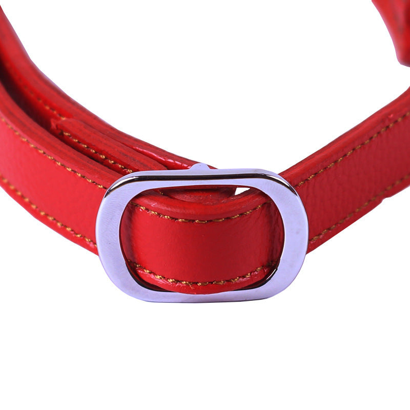 Semi-kontrolliertes P-Kettenhalsband aus Rindsleder – Bild 6 | LuxeStyle