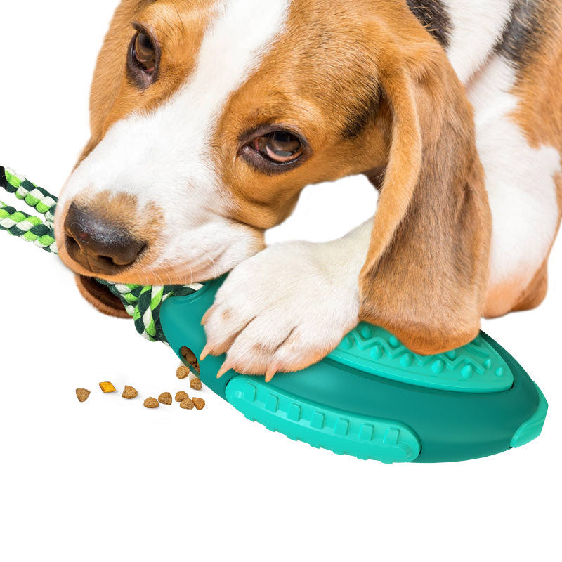 Voice Rugby Spielzeug für Hunde – Bild 3 | LuxeStyle