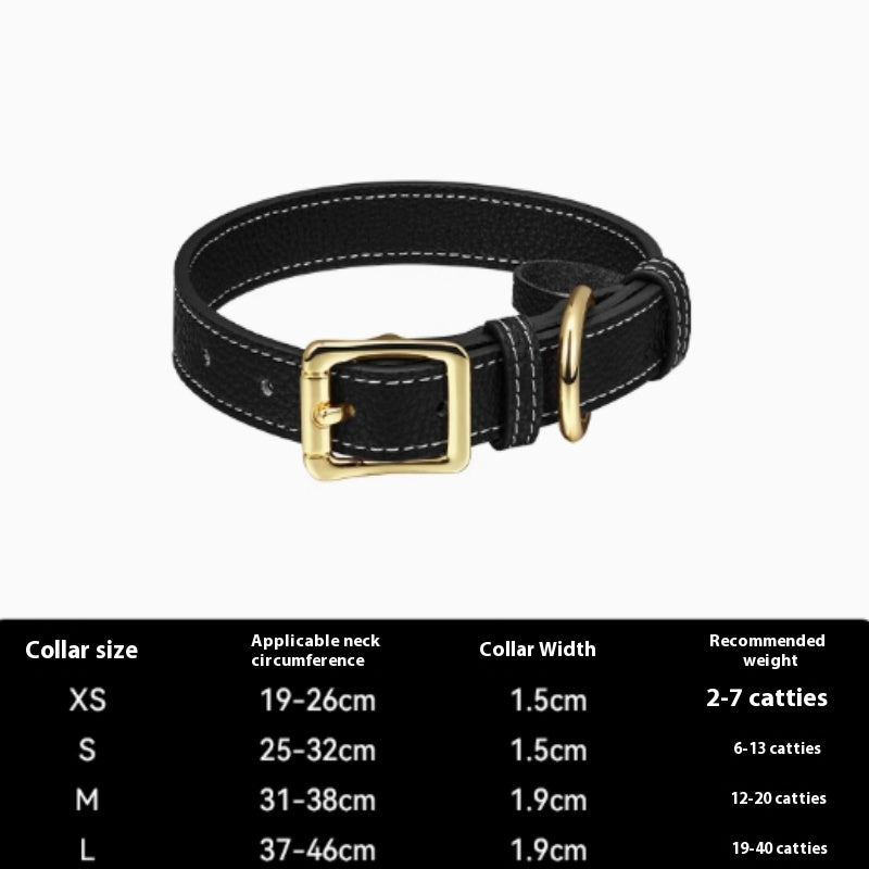 Halsband für Hunde und Katzen – Bild 10 | LuxeStyle