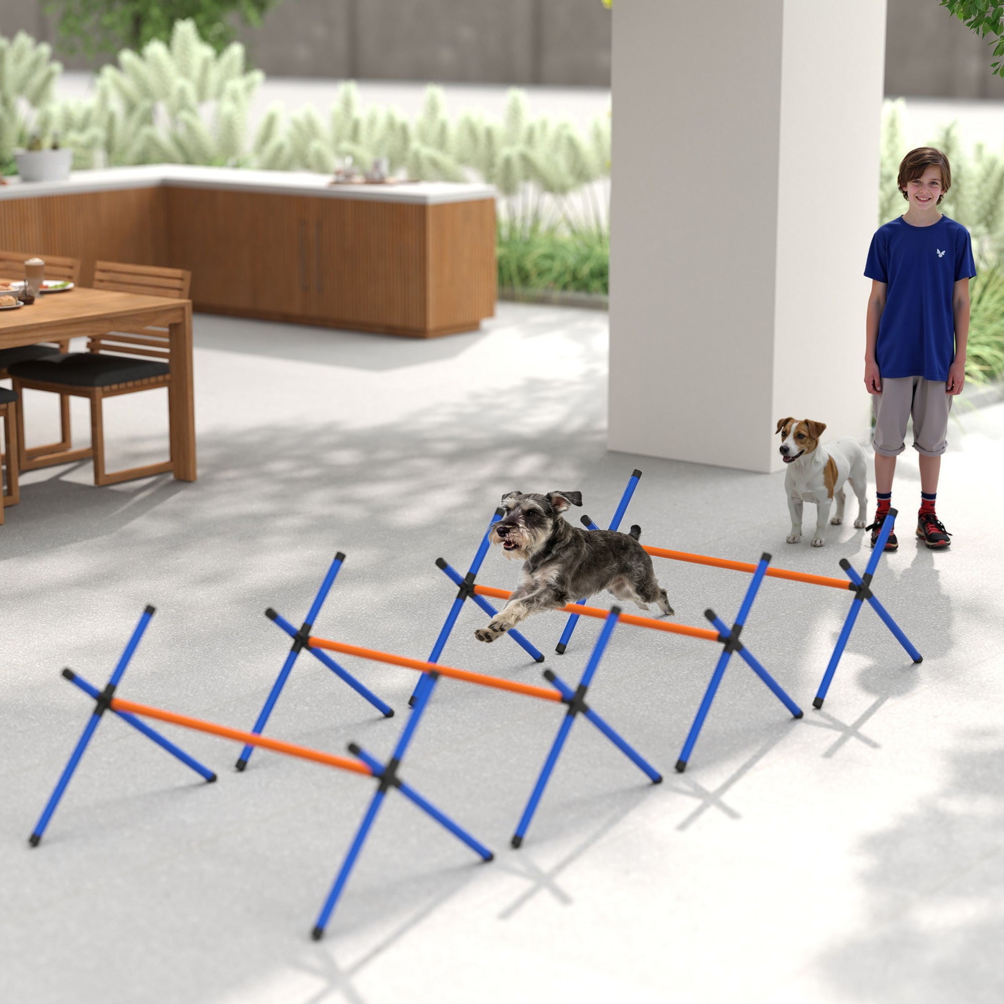Hunde Agility-Set mit verstellbaren Hürden