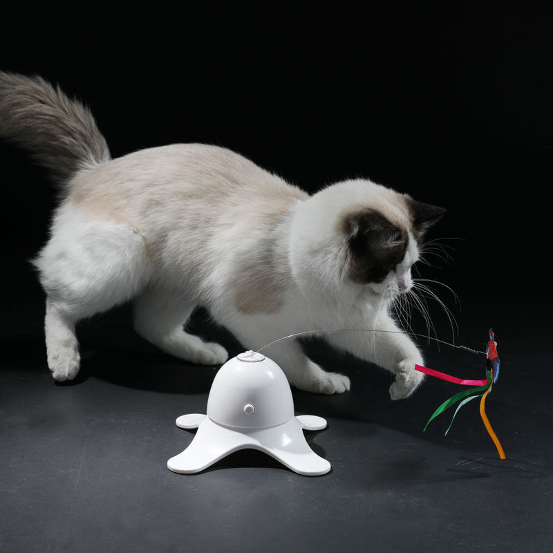 Elektrisches Schmetterling Katzen-Puzzle – Bild 5 | LuxeStyle