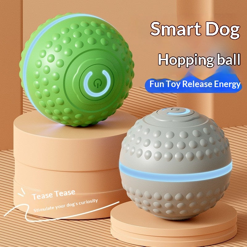 Rolling Ball Spielzeug für Hunde & Katzen