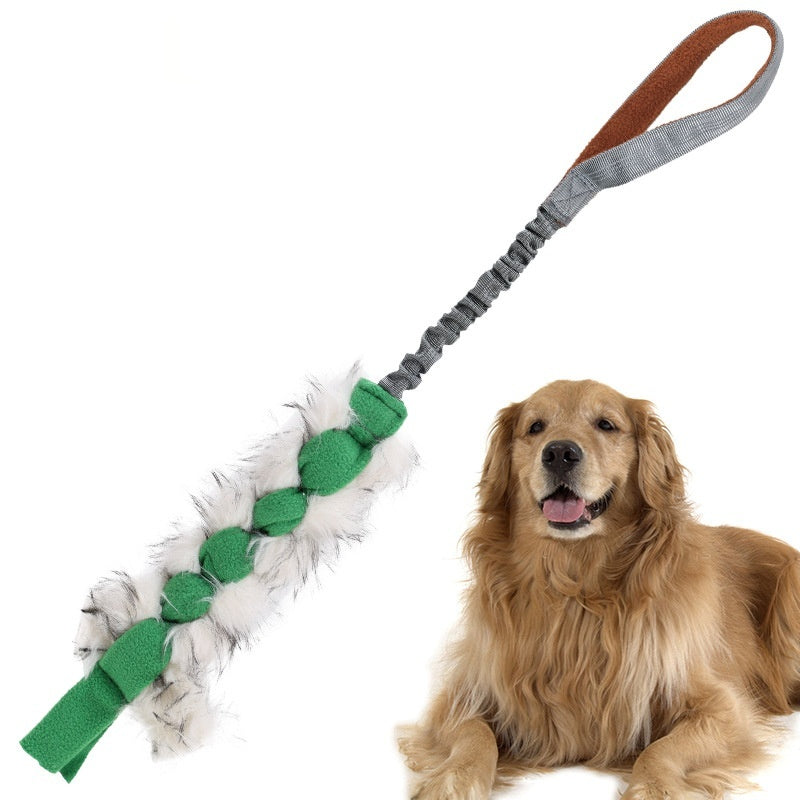Kau-Spielzeug für Hunde und Katzen