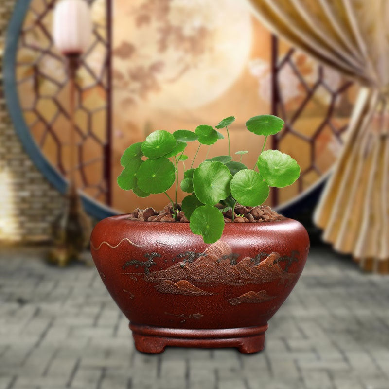 Keramik-Blumentopf aus Lila Ton – Bild 14 | LuxeStyle