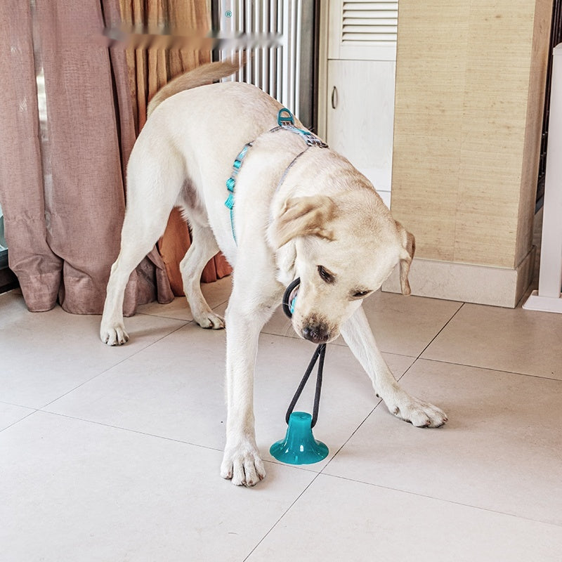 Kaufeesistenter Hundespielball