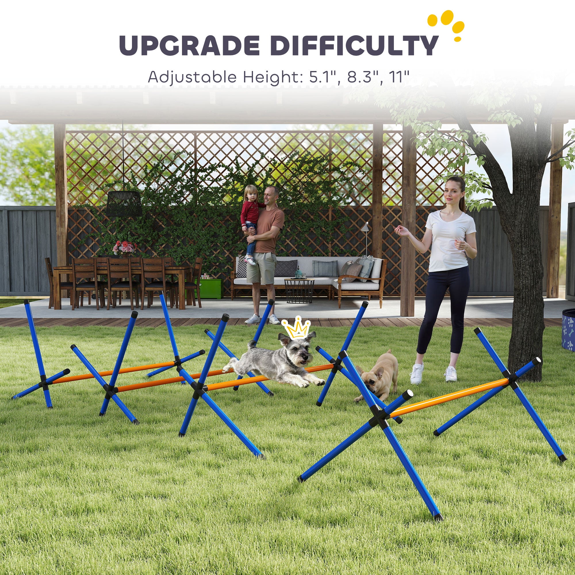 Hunde Agility-Set mit verstellbaren Hürden