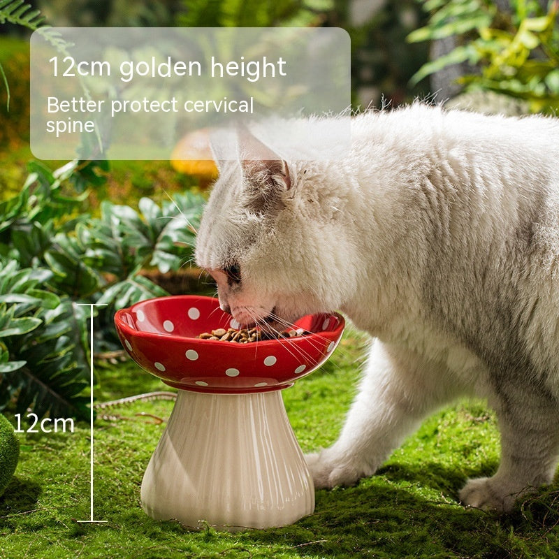 Keramik Futternapf für Katzen mit hohem Fuss – Bild 11 | LuxeStyle