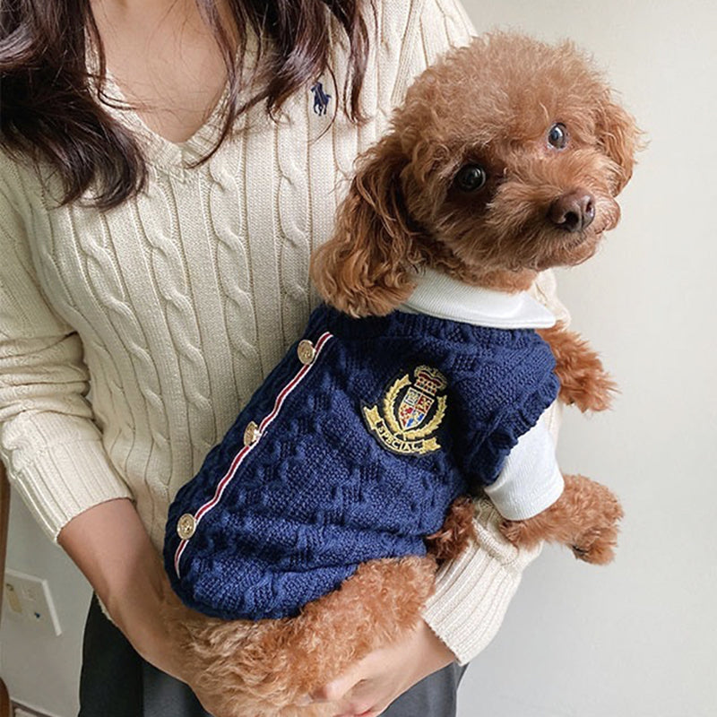 Hundestrickpullover Set in Blau/Weiss | LuxeStyle
