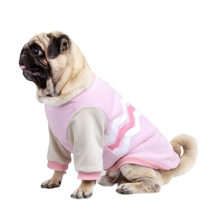 Hundewärmer Sweatshirt aus Baumwolle – Bild 3 | LuxeStyle