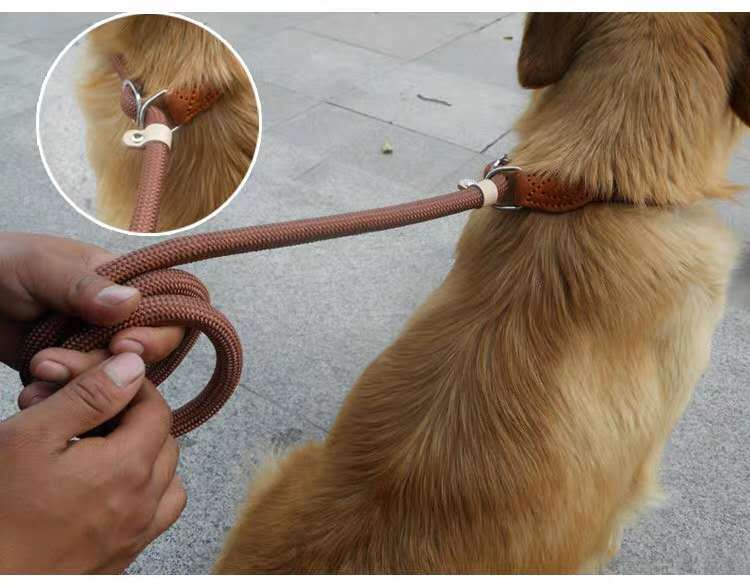 Nylon P-Kette Hunde-Leine, 2.1m, Braun – Bild 5 | LuxeStyle