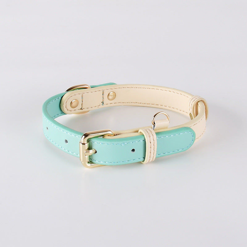 Lederhalsband für kleine bis mittelgrosse Hunde