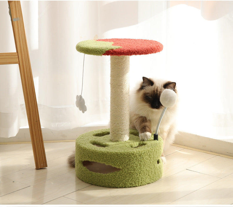 Kratzbaum für Kätzchen und kleine Katzen