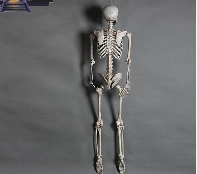 Skelett-Gerippe für Halloween-Deko – Bild 4 | LuxeStyle
