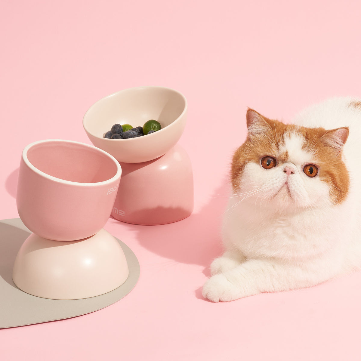 Keramik-Doppelnapf für Katzen & kleine Hunde – Bild 3 | LuxeStyle