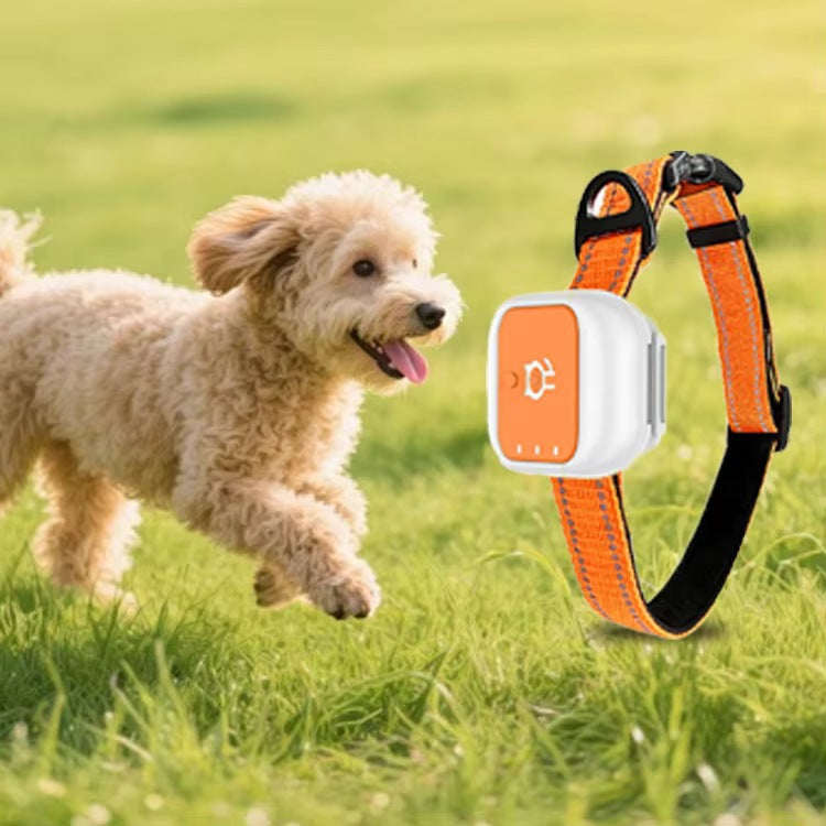 GPS-Tracker für Haustiere