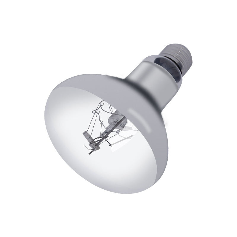 Turtle-Basking-Lampe
