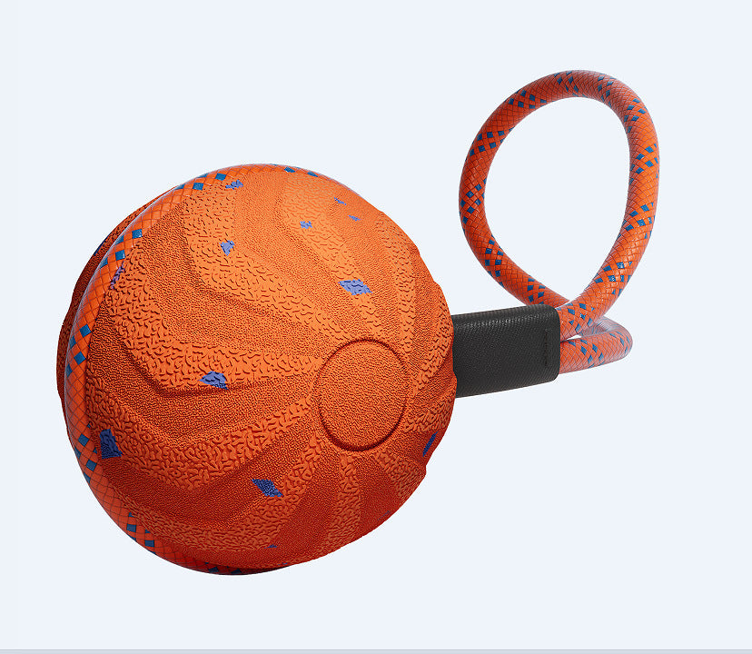 Smart Ball: Interaktives Kauball-Spielzeug für Haustiere