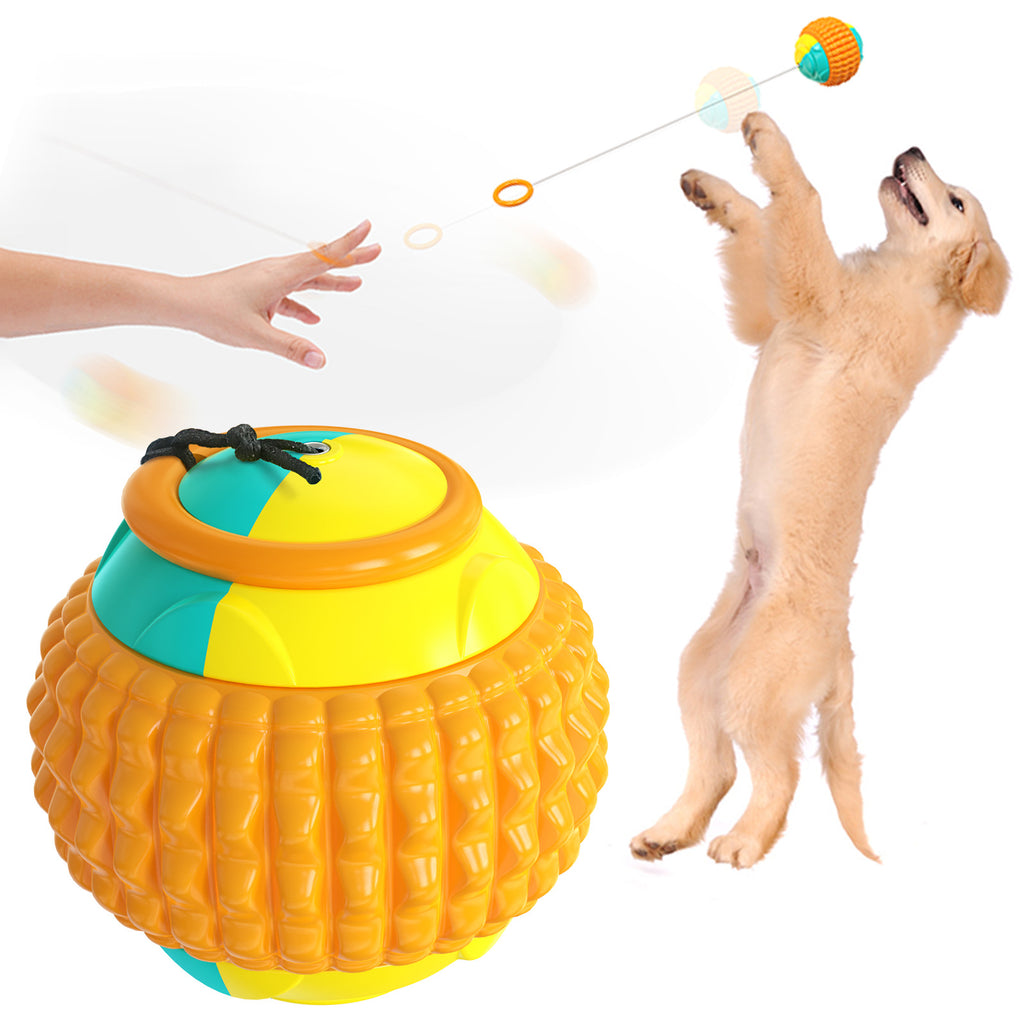Wurf- und Kauball für Hunde – Bild 4 | LuxeStyle