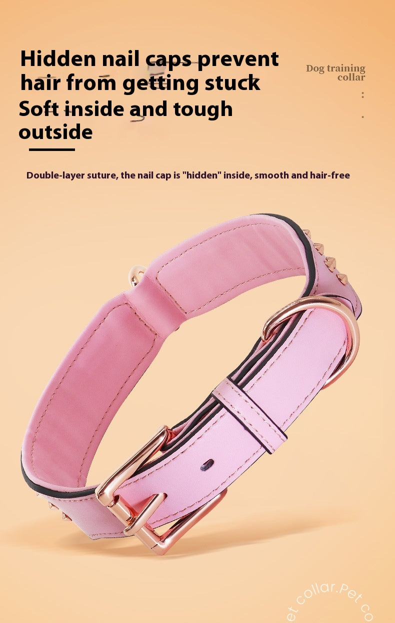 Hundehalsband – Bild 5 | LuxeStyle