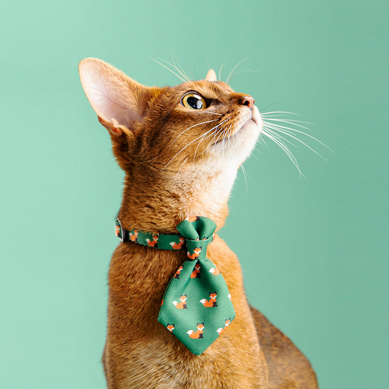 Hundefreundliche Krawatten – Bild 5 | LuxeStyle