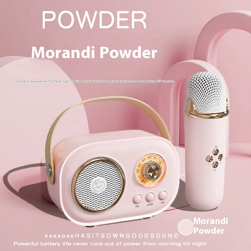 Portables Bluetooth Audio mit kabellosem Mikrofon