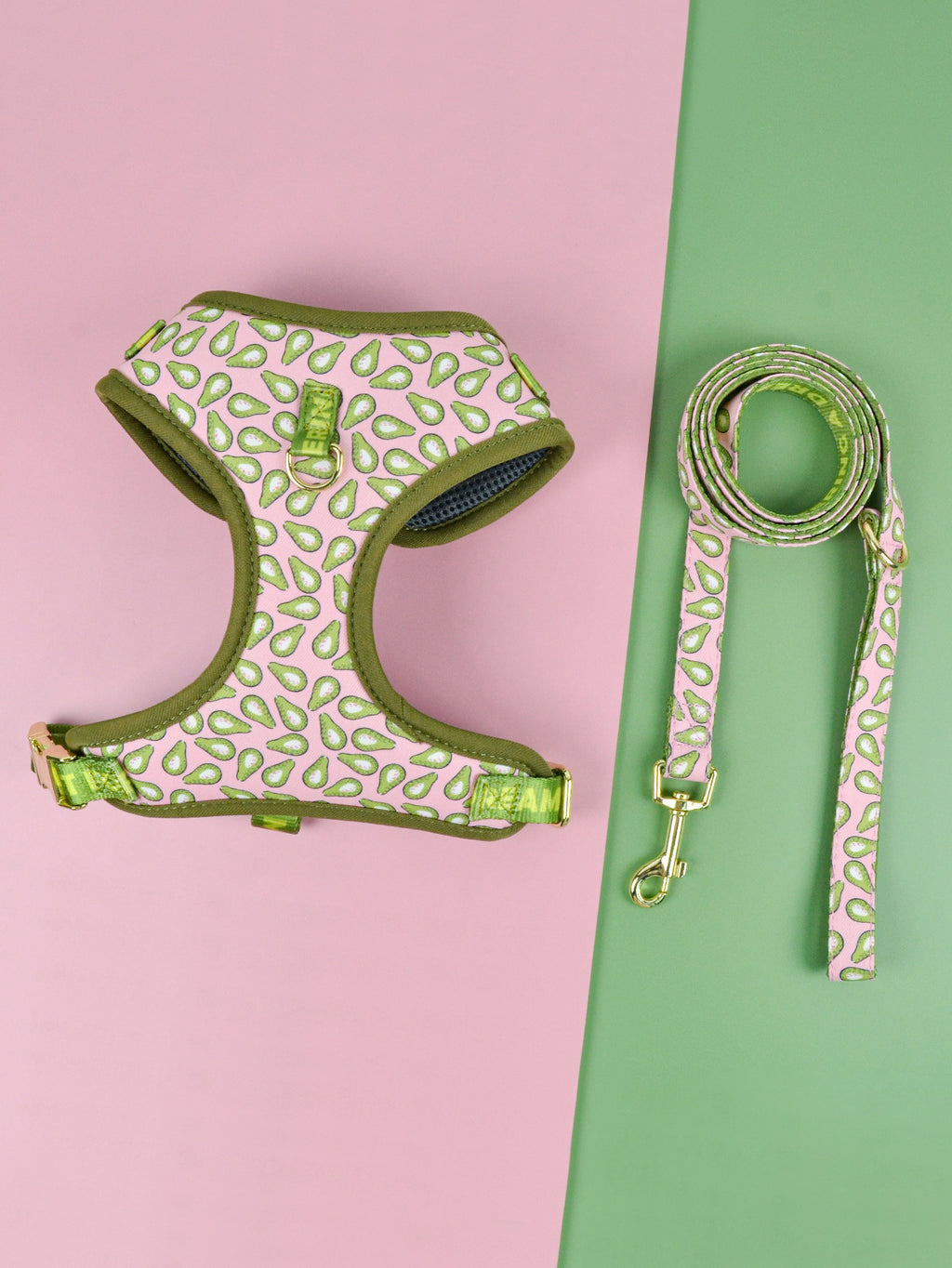 Halsband mit Traktionsgurt für Hunde
