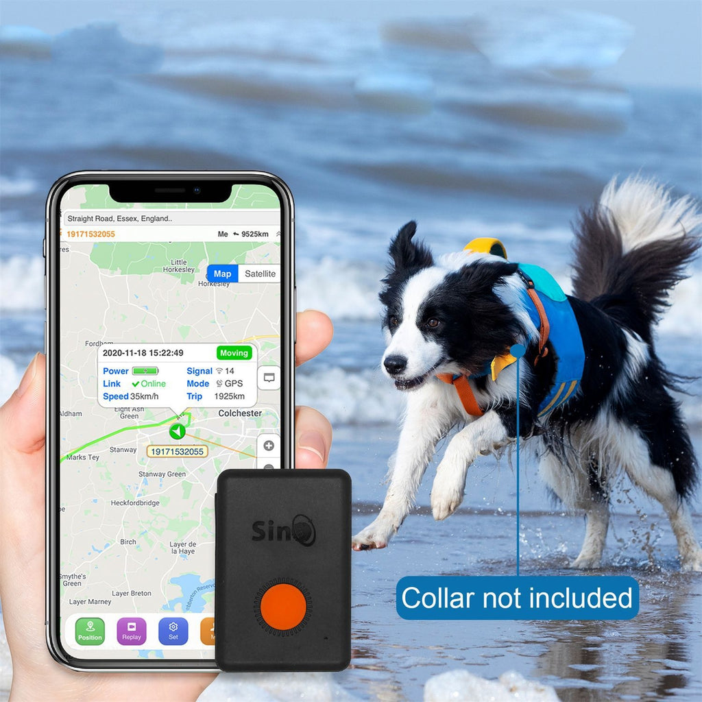 GPS-Tracker für Kinder, Senioren und Haustiere