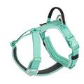 Multifunktionaler Outdoor-Hundehalsriemen