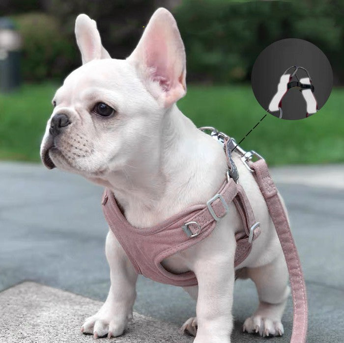 Reflektierende Leine mit Brustgeschirr für Hunde | LuxeStyle