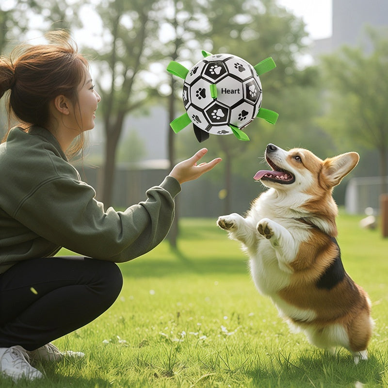 Hundespielball für Kauen und Apportieren