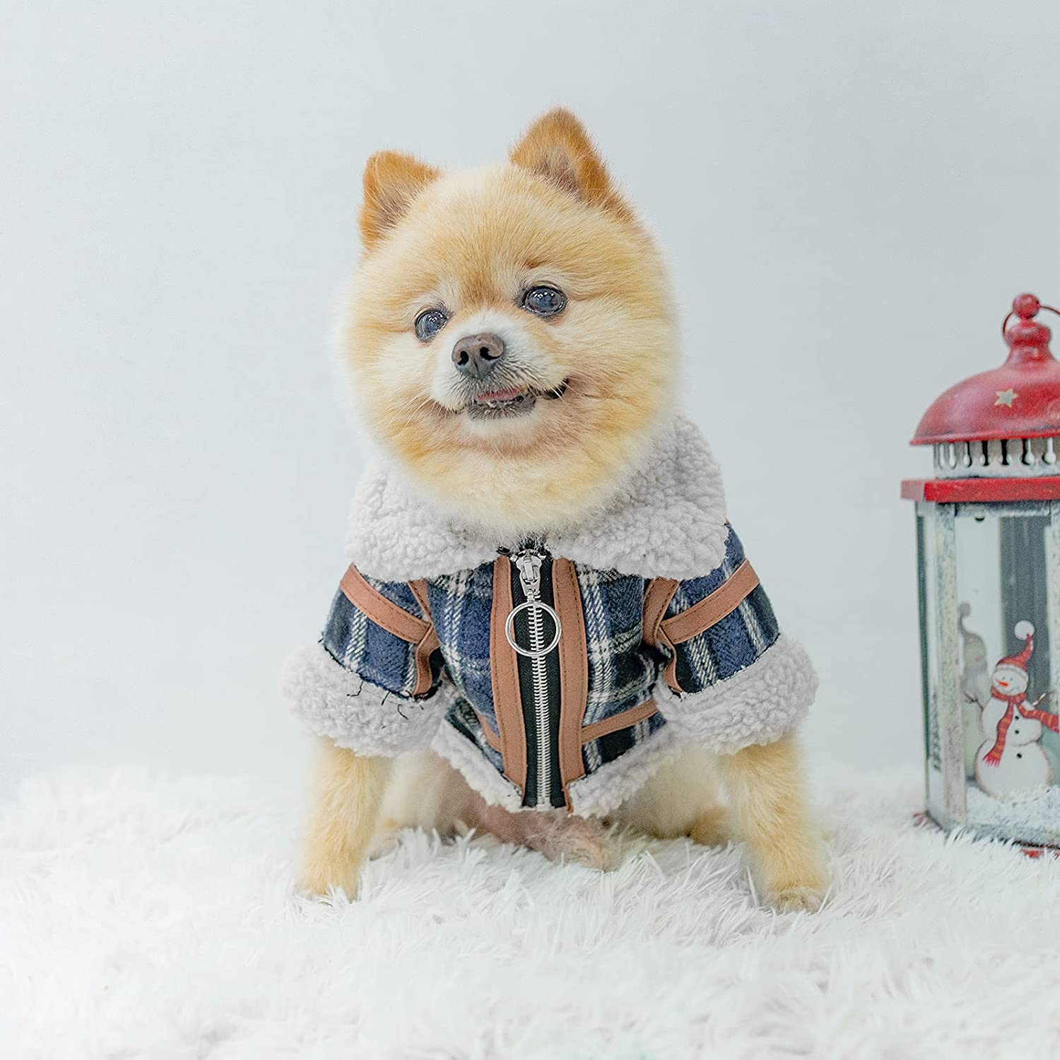 Karierte Hundekleidung