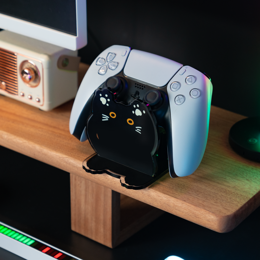 Acryl Aufbewahrungsbox für Controller