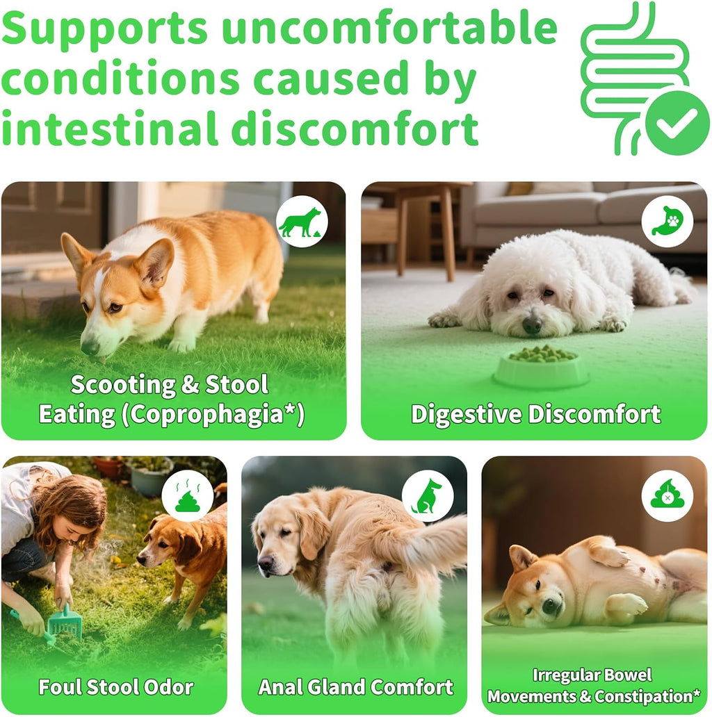 Probiotische Verdauungschüechli für Hunde