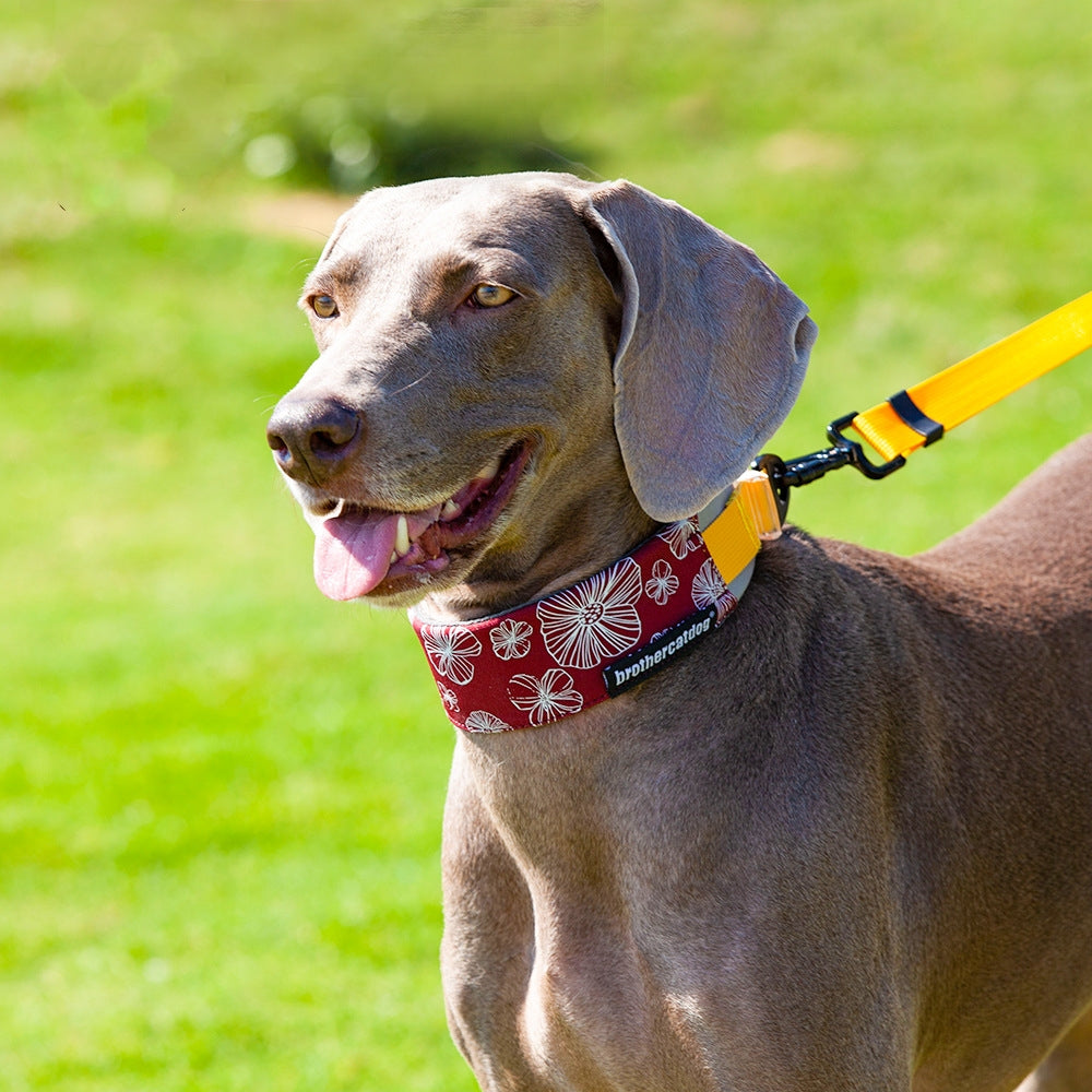 Verstellbares Katzenhalsband mit Halstuch – Bild 6 | LuxeStyle