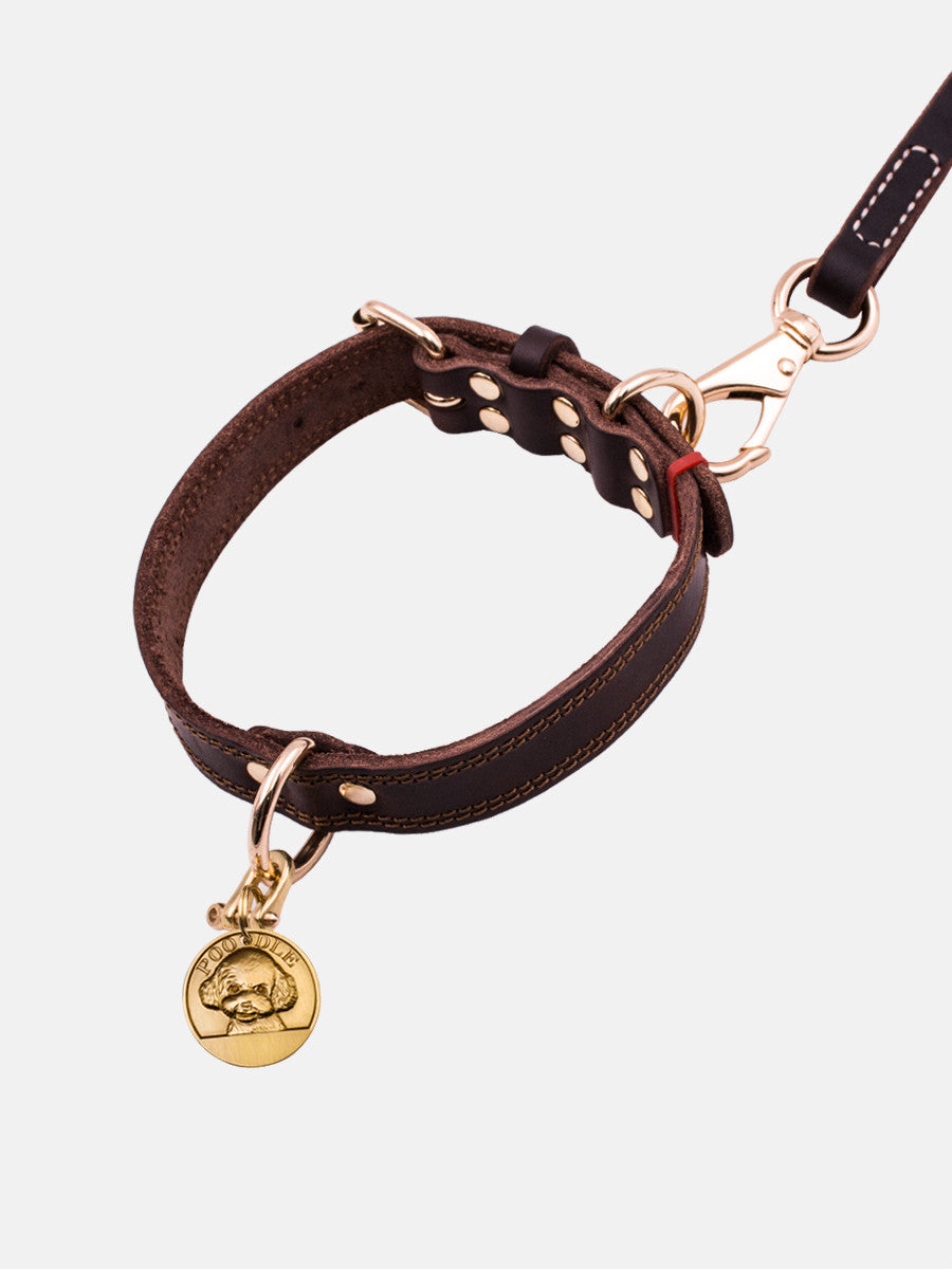 Lederverstärkter Hundehalsband – Bild 7 | LuxeStyle
