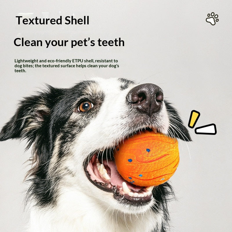 Intelligenter Sprungball für Hunde – Bild 2 | LuxeStyle