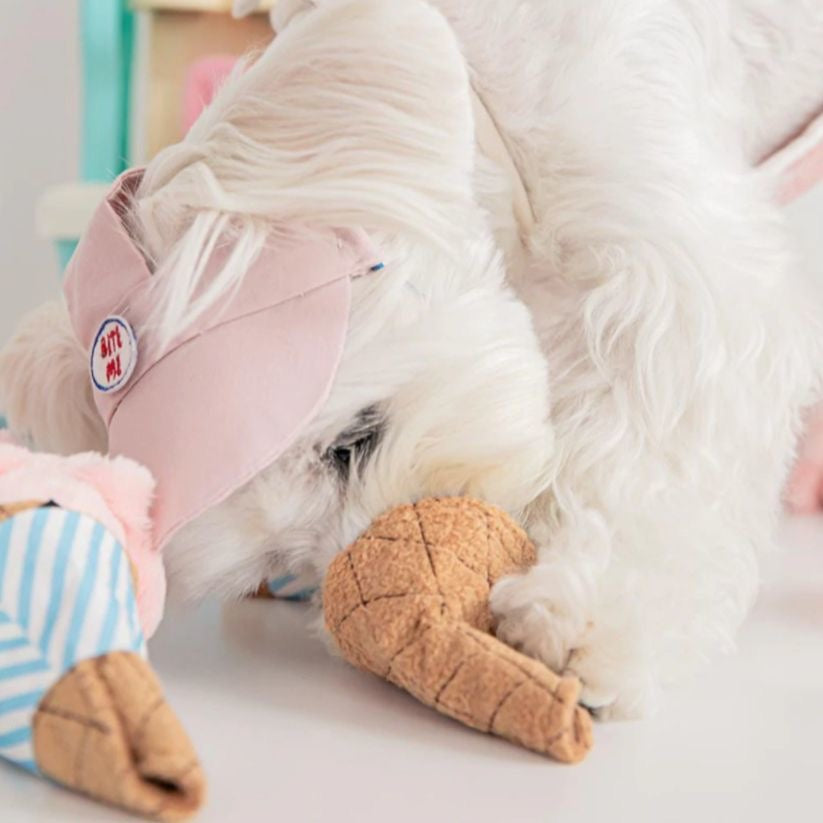 Glacestängeli – Spielzeug für Hunde & Katzen