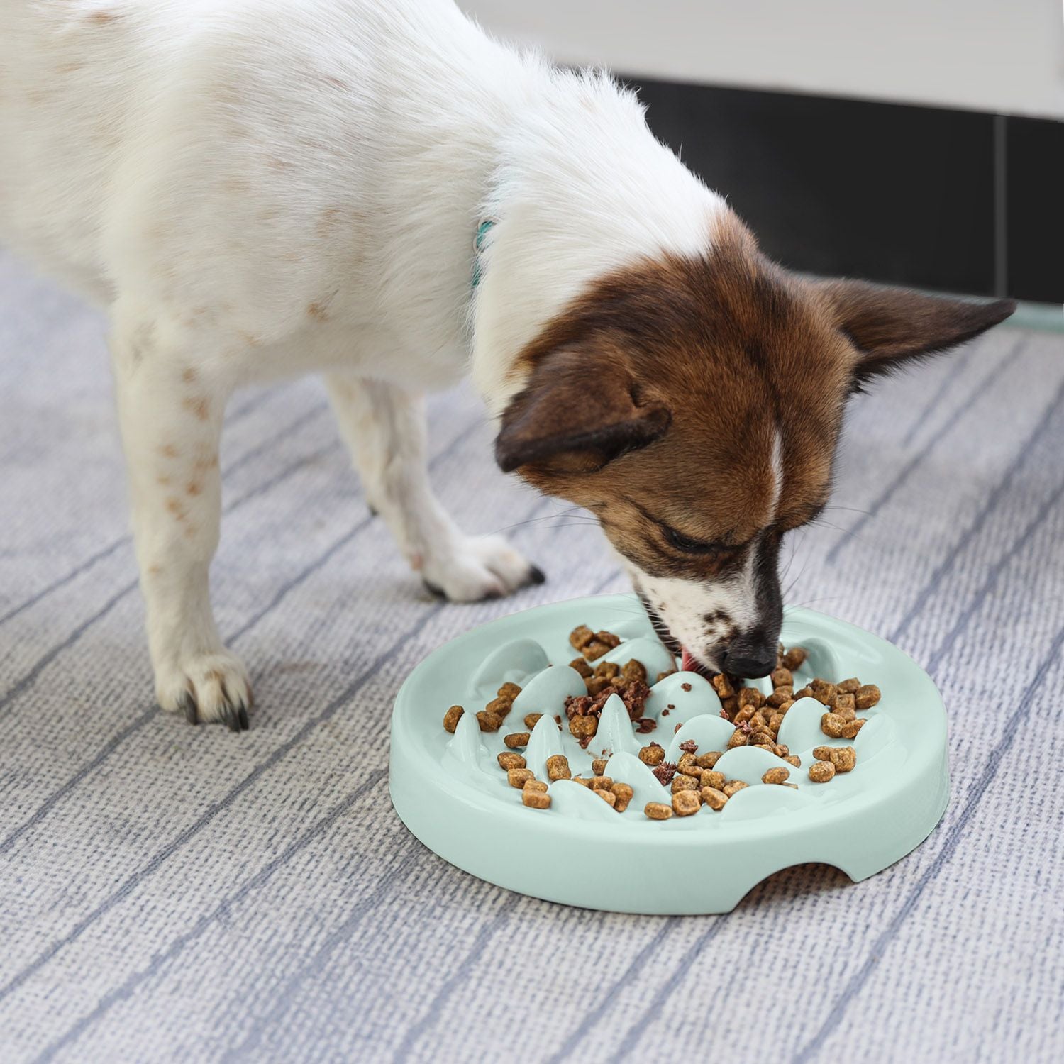 Langsam-Futter-Schüssel für Hund & Katze
