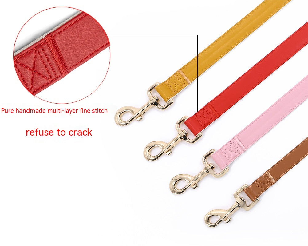 Hundehalsband mit Metallschnalle – Bild 3 | LuxeStyle