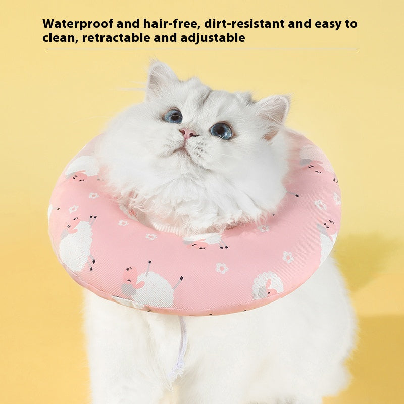 Katzenhalsband – Leckschutz nach Sterilisation – Bild 8 | LuxeStyle