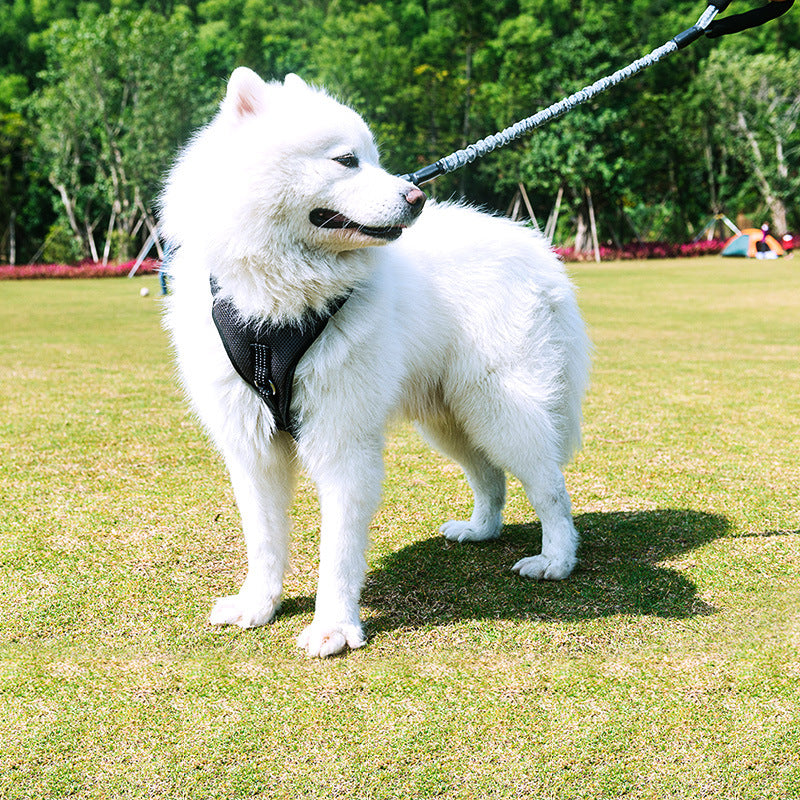 Hundeleine für mittelgrosse bis grosse Hunde – Bild 3 | LuxeStyle