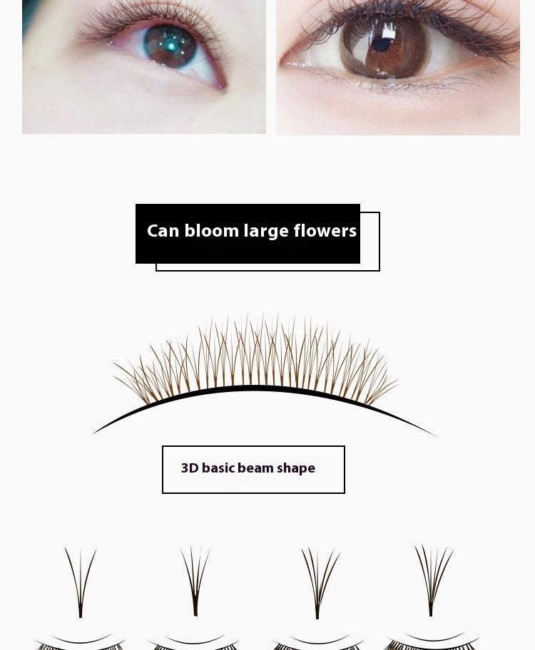 Falsche Wimpern "Deep Coffee"