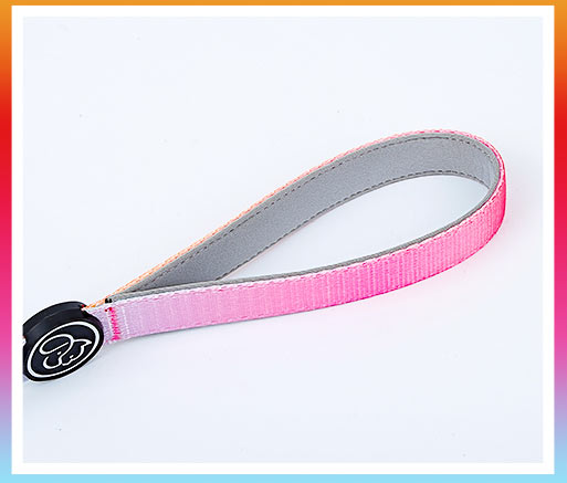 Hundehalsband und Leine für Samojeden – Bild 12 | LuxeStyle
