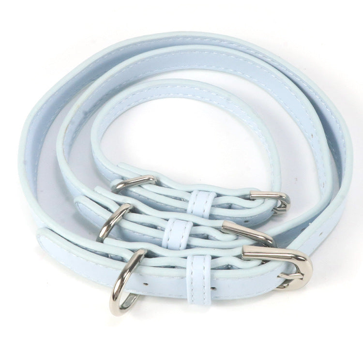 Halsband mit Zugseil für kleine bis mittelgrosse Hunde