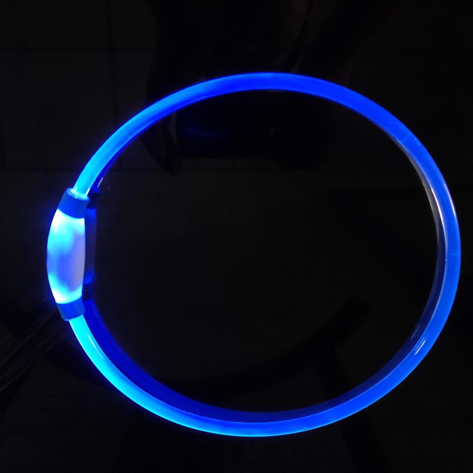 Hundehalsband mit USB-Ladefunktion – Bild 1 | LuxeStyle